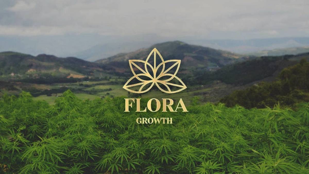 Acciones de Flora Growth suben por ley de cannabis medicinal