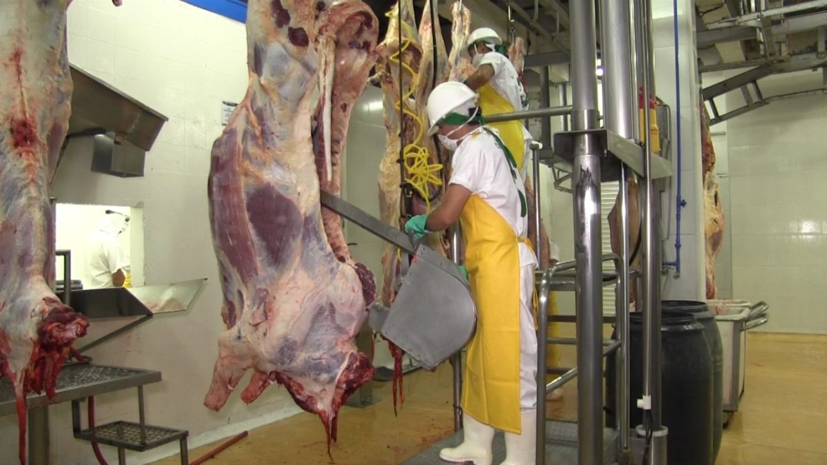 Descubren cartel de la carne en Colombia