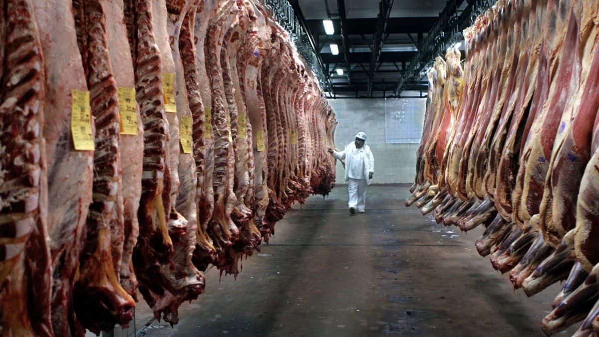 Producción de carne de Brasil frenó ante veto de China