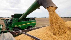 Producción de soja en Brasil subió 10% en octubre